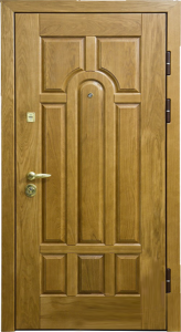 Элитная дверь DZ136
